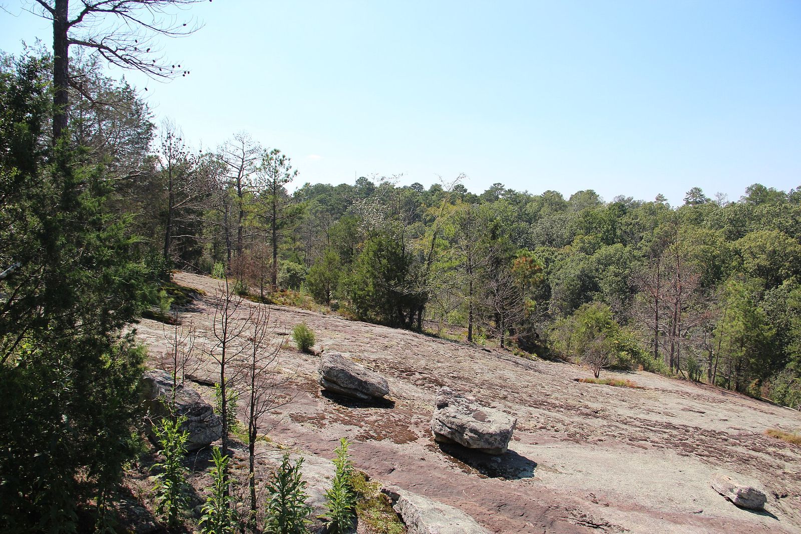 Panola Mountain State Park near Ellenwood